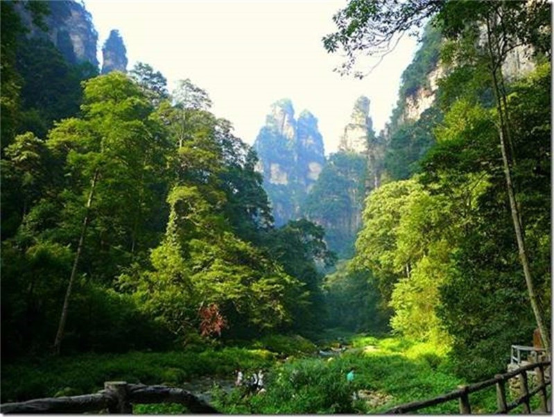 自驾张家界天门山攻略详细,张家界雪景天门山攻略