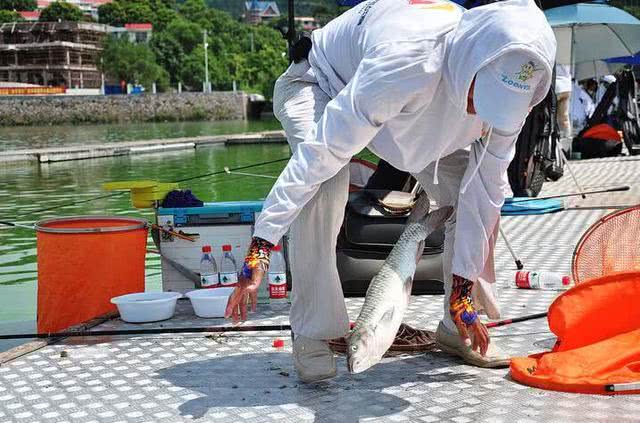野钓还是传统钓好,野钓选择位置