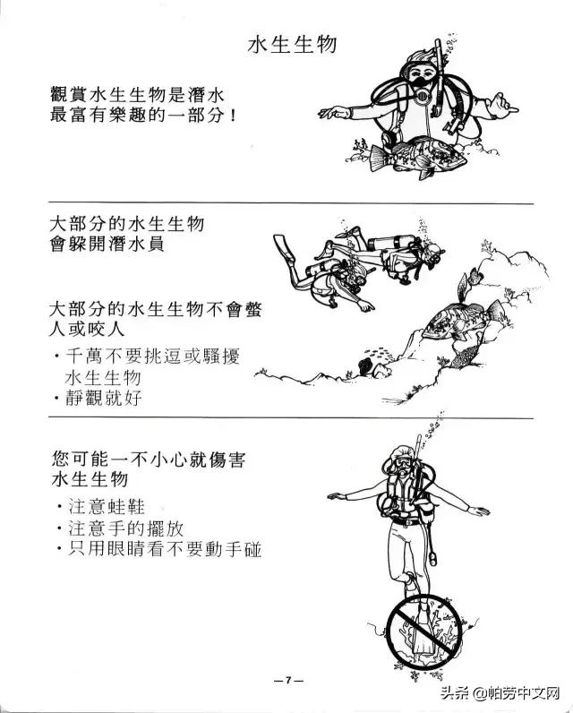 一张图看懂深海水肺潜水