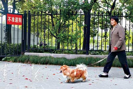 文明城市允许不文明养狗吗,养狗文明