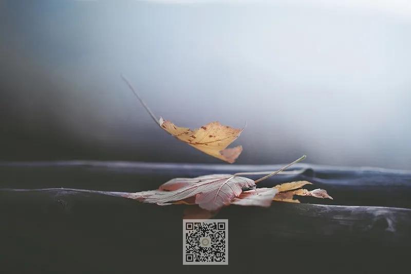 放松是一种心态,放松是正向情绪