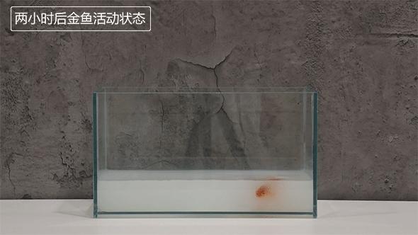 墙面涂料有气味怎么办,新房涂料味太重怎么去除