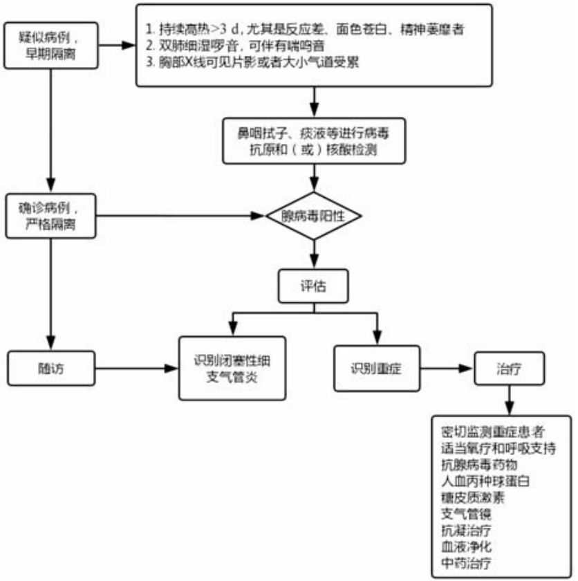 腺病毒肺炎的影像学特点,儿童腺病毒肺炎诊疗规范