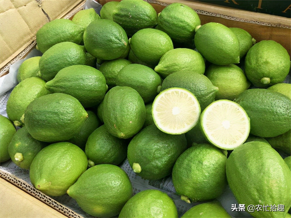 5月涨至一斤36元,吸引农民种植,如今价格腰斩,为何仍被看好