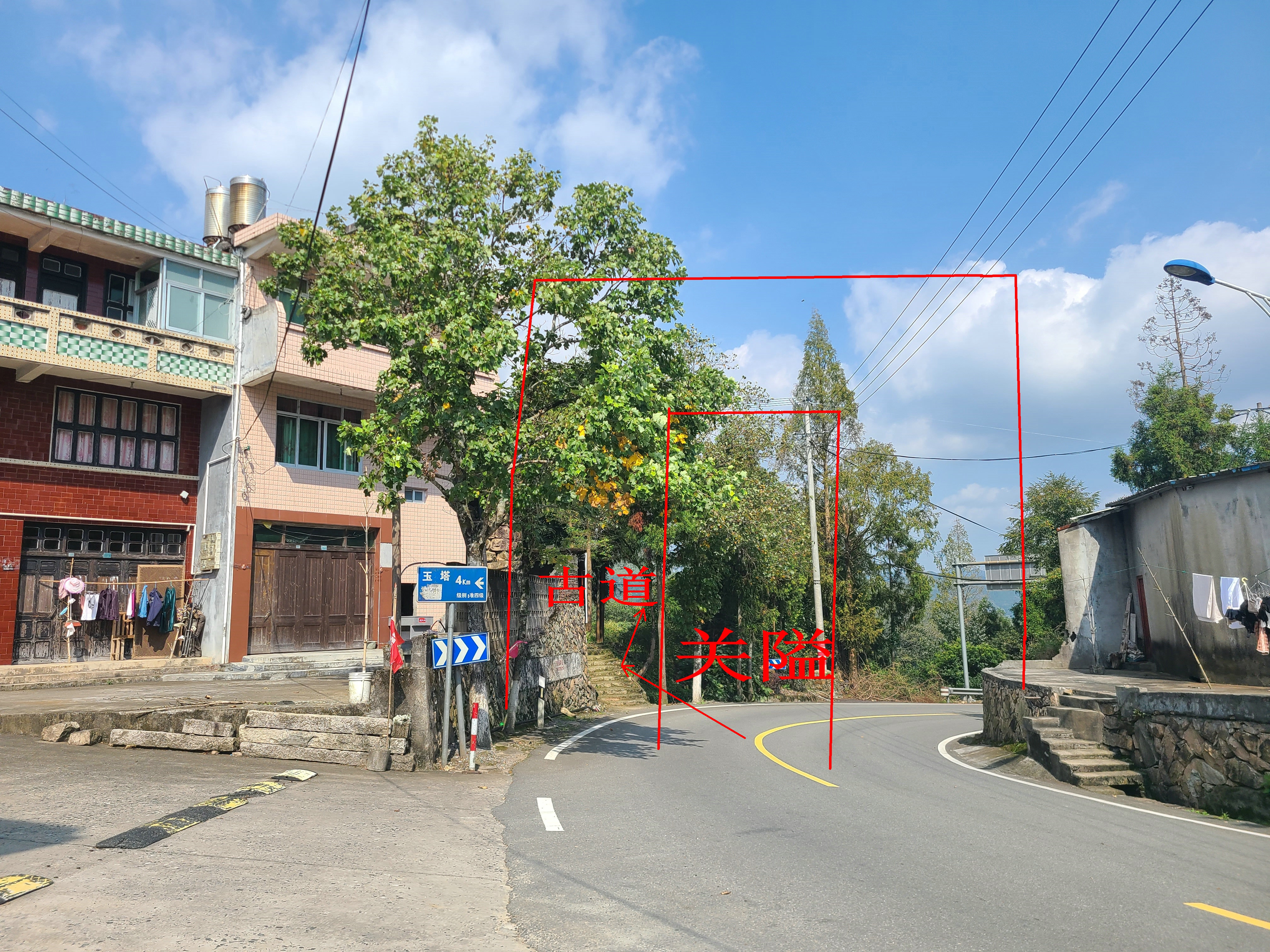 泰顺最出名的茶叶 (泰顺名茶有哪些)