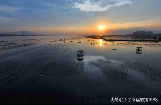 东山岛旅游攻略完整版路线图,福建漳州东山岛旅游攻略完整版