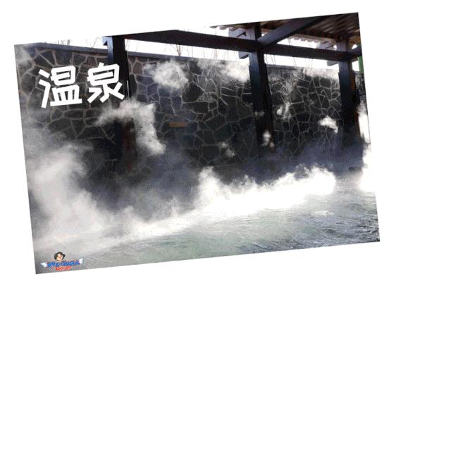 疫情后东北的发展,疫情后的东北现状