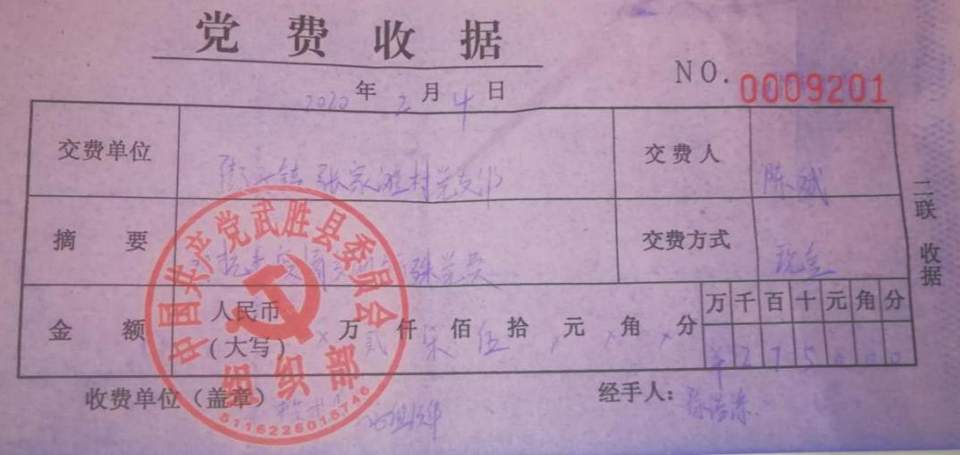 让党旗飘扬在抗疫路上,党旗飘扬党员一线抗疫