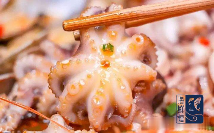 海鲜怎么养能存活时间长,海鲜怎么吐沙子