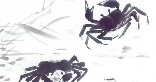 邹晓丽老师：《红楼梦》中的诗词（五）