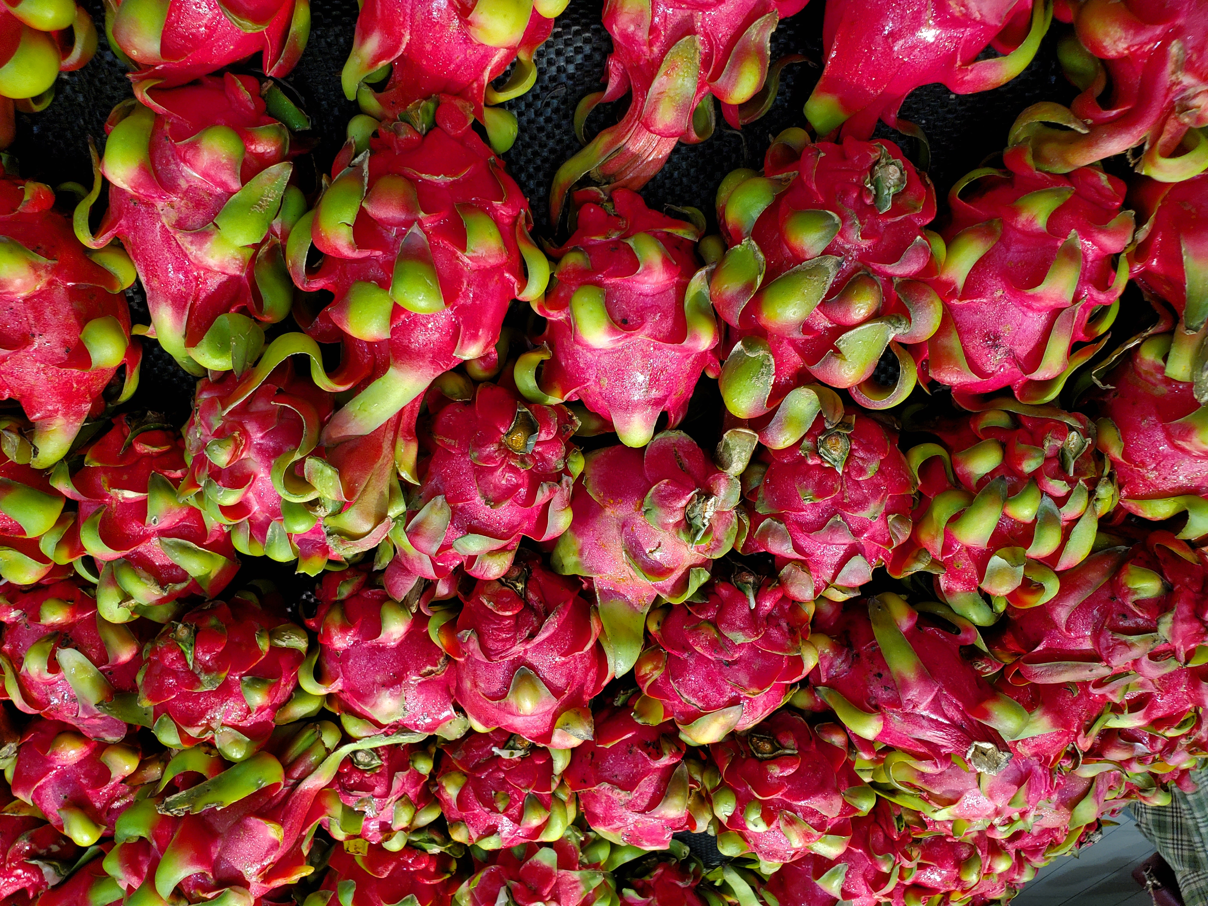 vivoz5到底值不值得入手,vivoz5值不值得学生党用