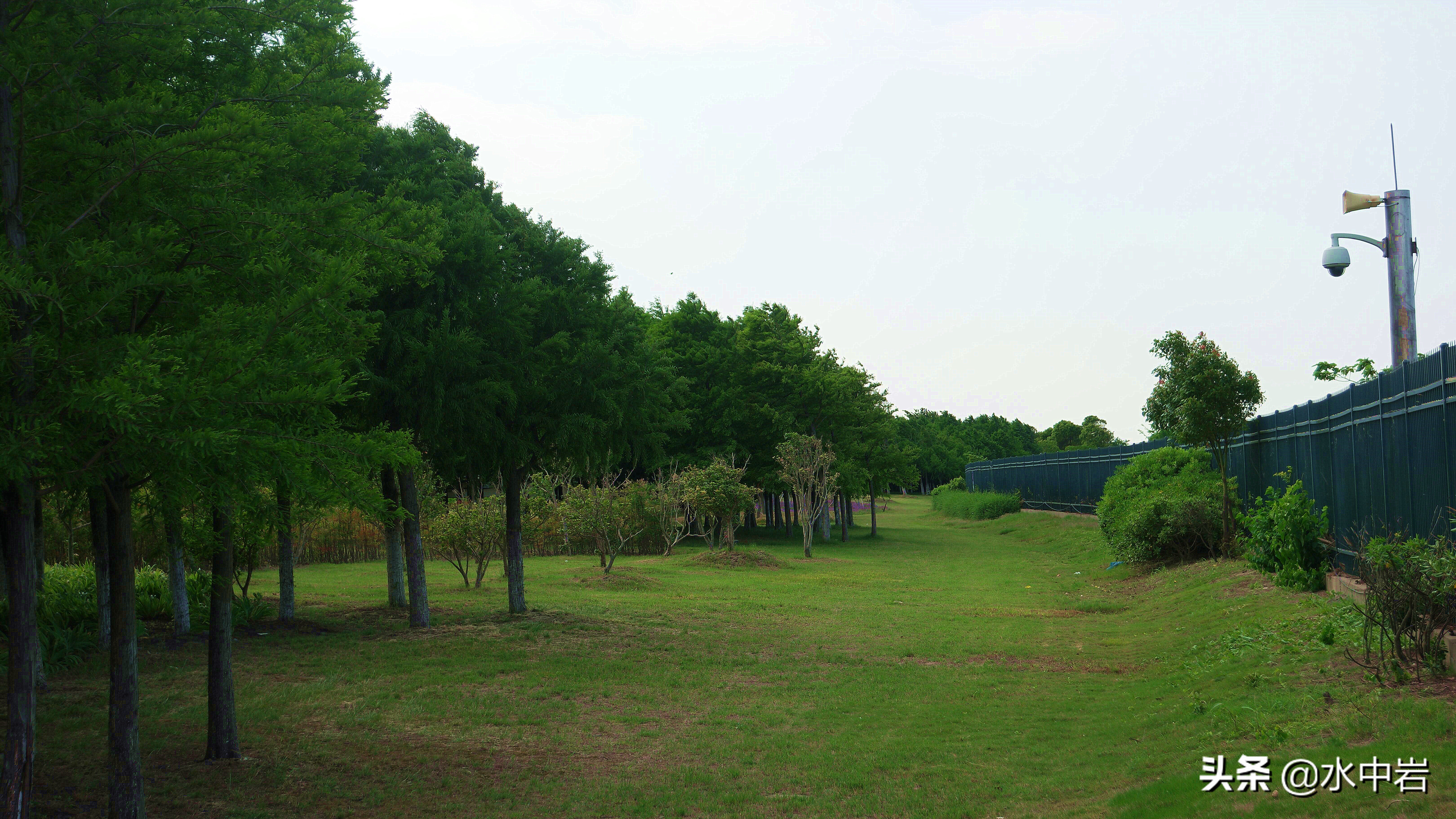 长江流域发生了几次大型洪涝灾害,江苏历史上遭遇的洪水