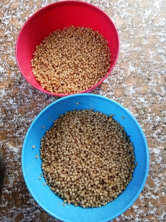 野钓窝料秘方大揭秘大板鲫的克星,钓鱼窝料怎么诱鱼