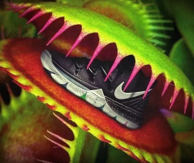 nike有哪些篮球鞋是全掌气垫,nike2019新款气垫中底篮球鞋