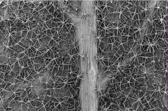 绉戠爺澹佺焊,绉戠爺浜虹殑鏂板勾澹佺焊