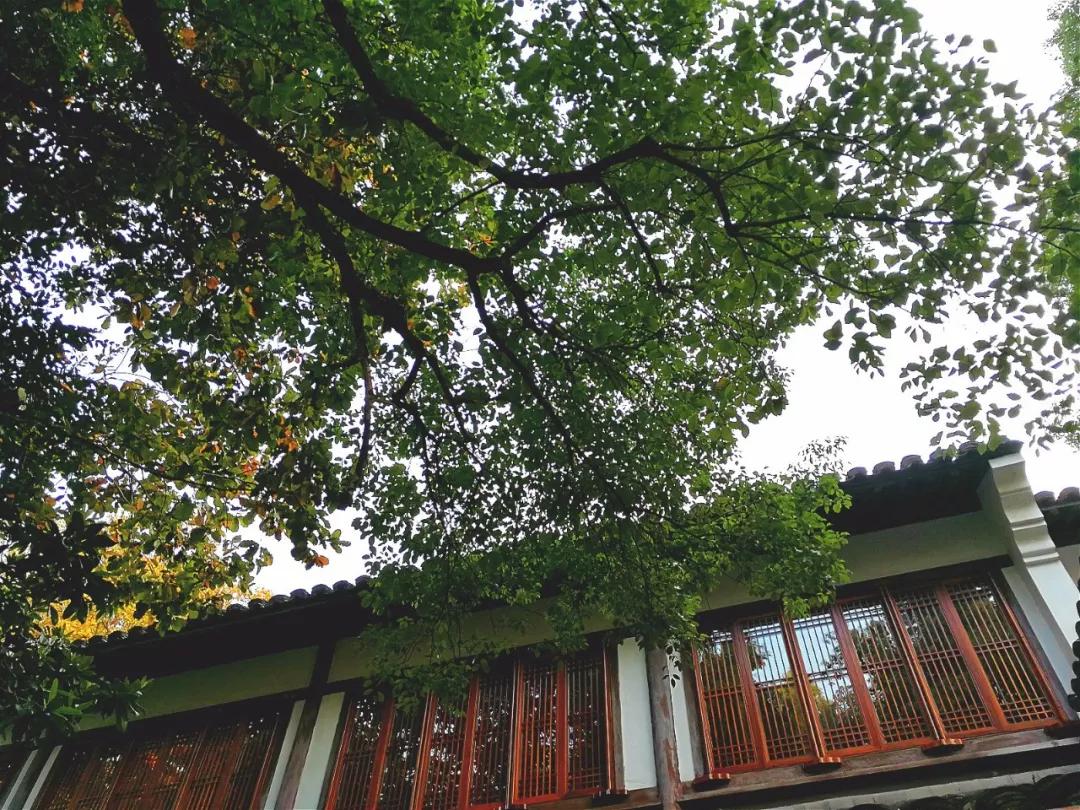 安缦法云民宿,法云安缦让心安静