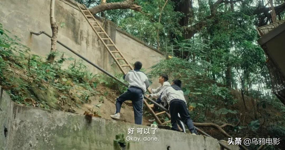 横扫电影节奖项,横扫国际影展