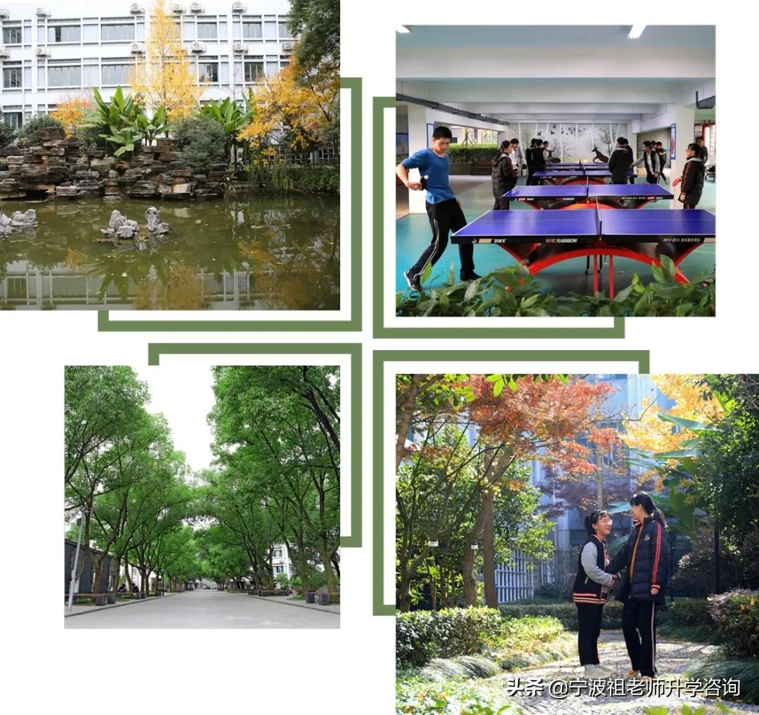 祖老师带你看宁波四中！哇！有6个特色班！