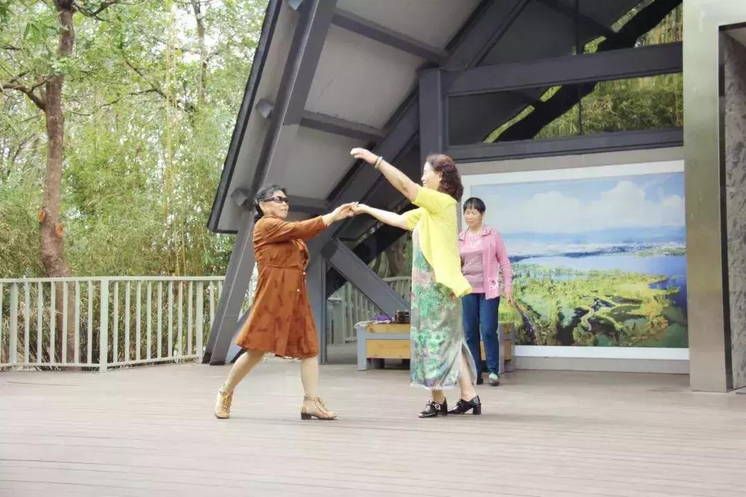 凉山彝族自治州邛海湿地,走进西昌邛海湿地