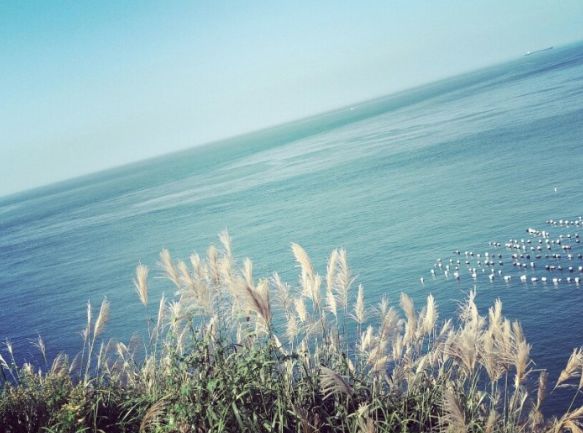 这座海岛我做好了攻略，适合约上最好的朋友一起去