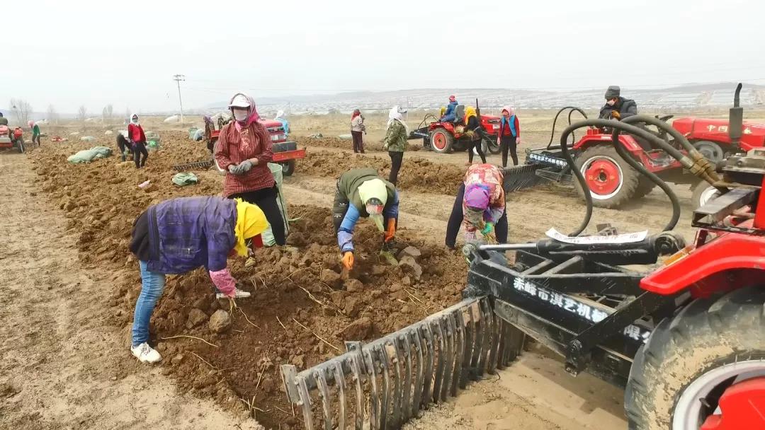 幸福生活到底啥模样,幸福生活到底是什么样的