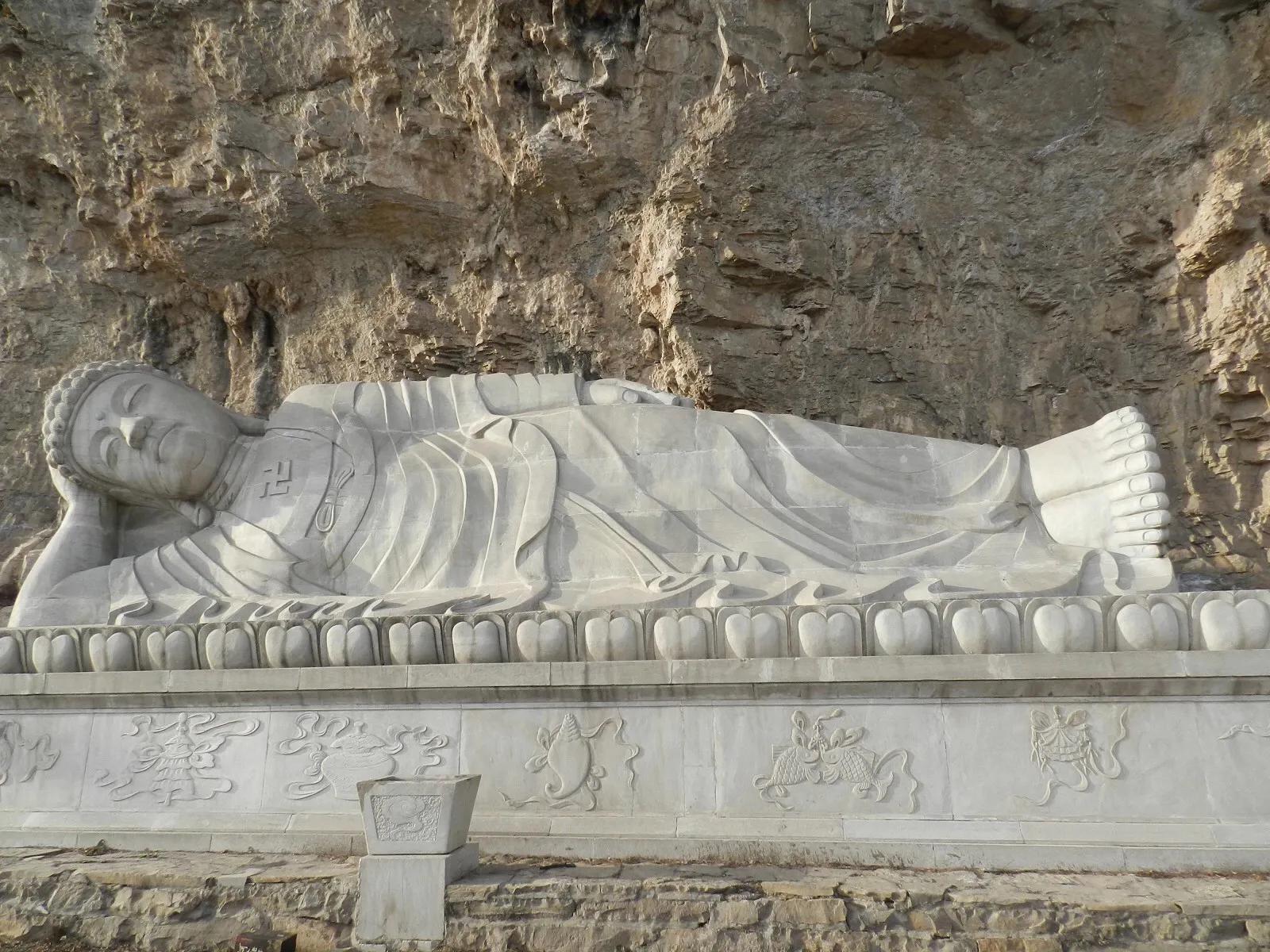 在山里迷路遇到狐狸,在山里迷路遇到了好漂亮的小姑娘