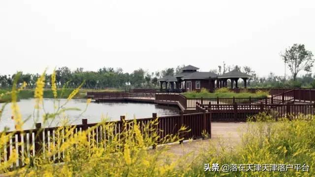 为啥都在滨海买房子房价又不便宜,在滨海新区买房的42个理由