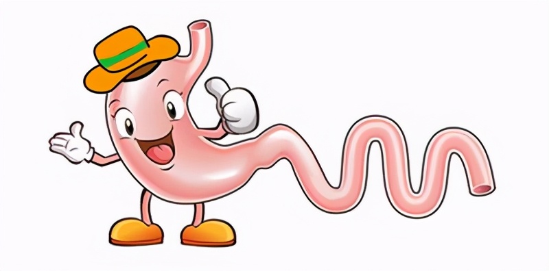 六问六答的基本知识,六问六看是什么内容