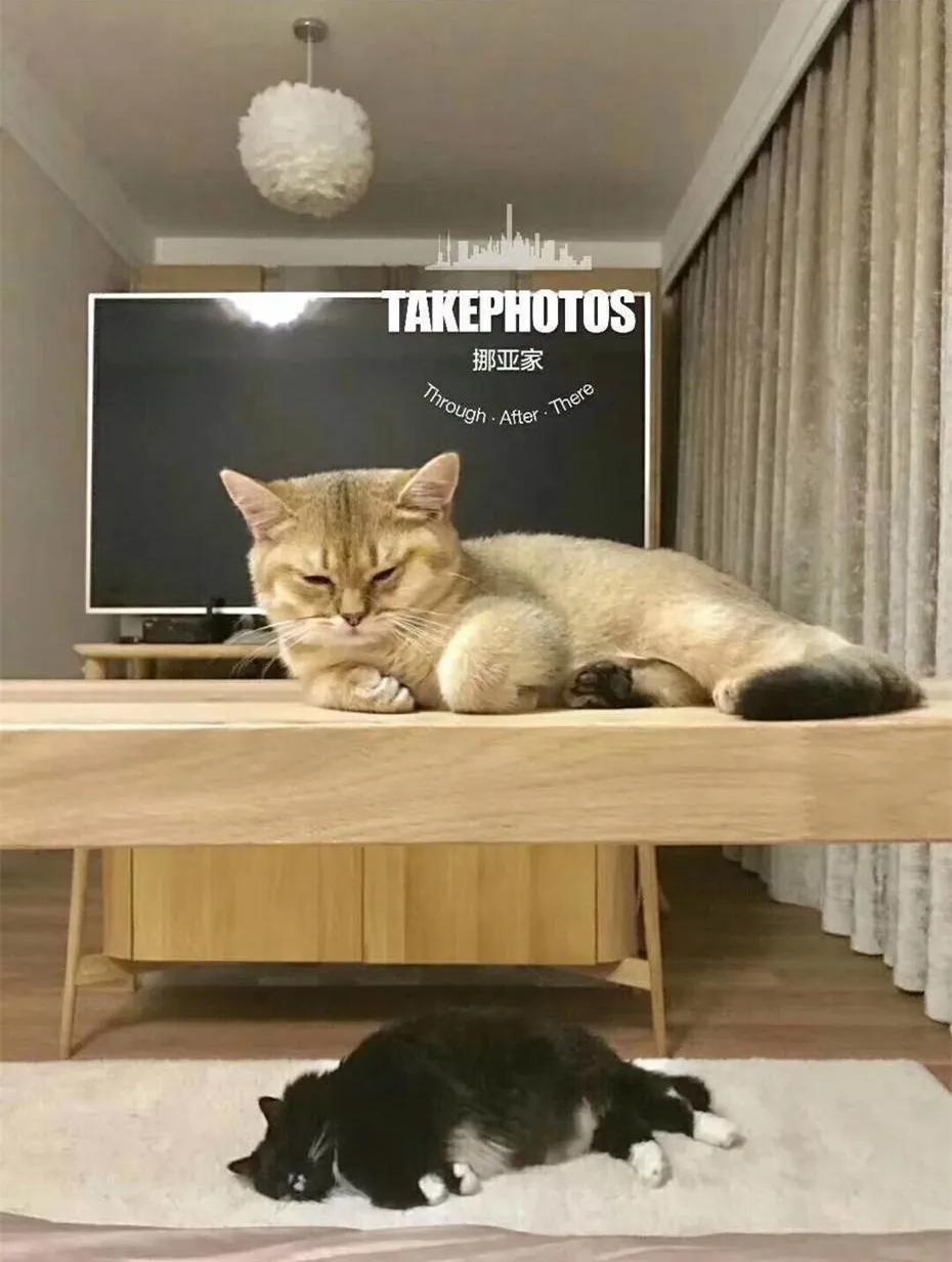 一直独居一直爽，我家长这样