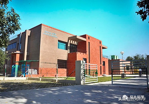 穷人的乐高什么样?印度大佬用垃圾做的玩具,火了