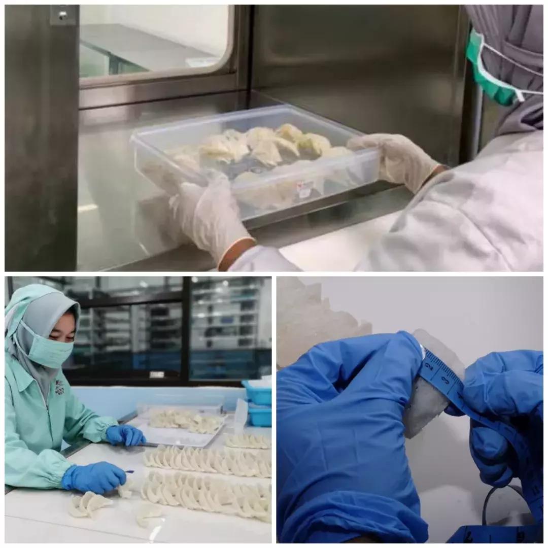 最全的燕窝知识科普,燕窝科普篇