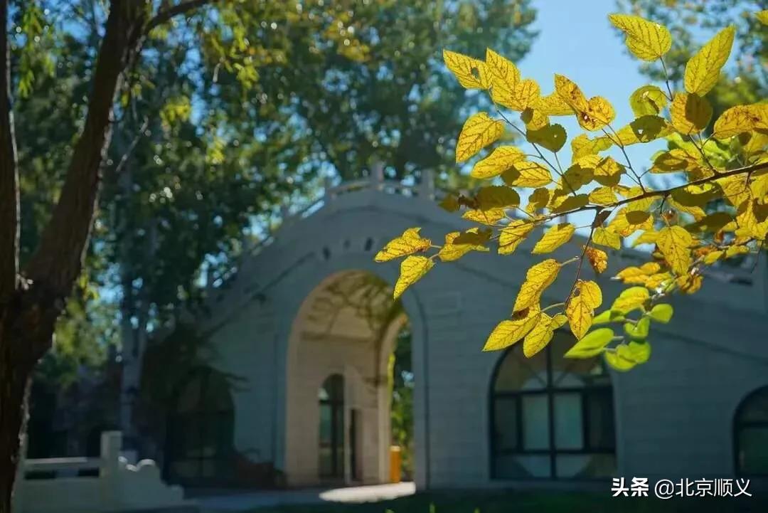 假期最后一天公园,假期结束前逛公园