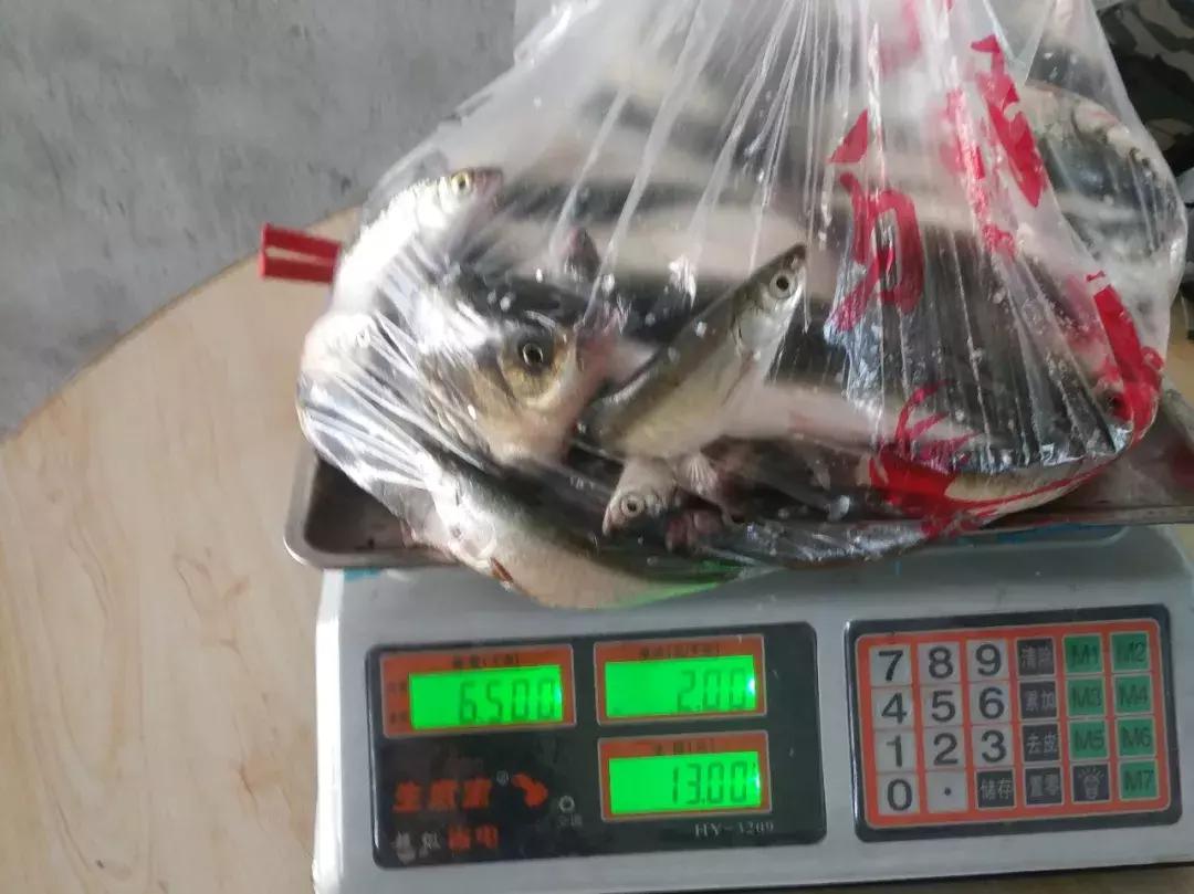 手竿钓草鱼还是海竿好,钓草鱼用海竿还是手竿好