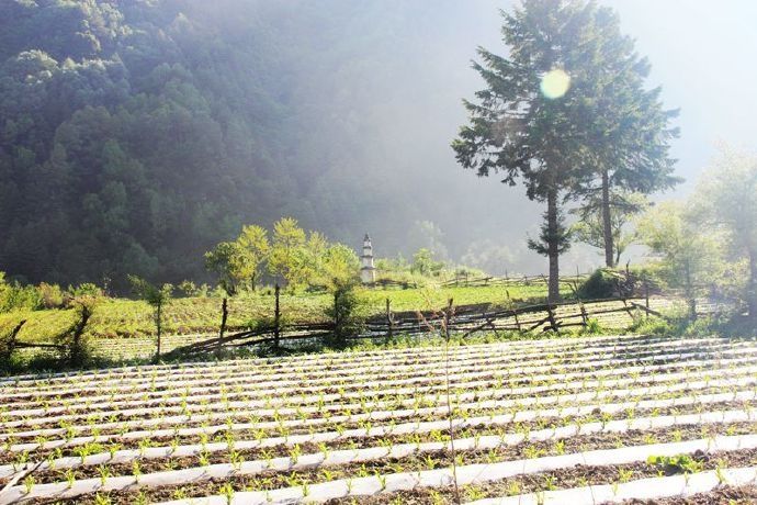 最美田园风光诗,关于乡村美丽风光的诗