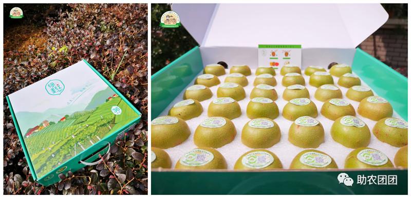 助农产品水果猕猴桃,贵州六盘水红心猕猴桃助农