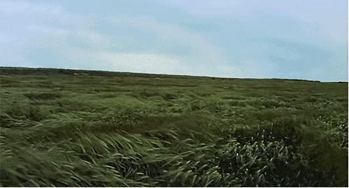 戴森吸尘循环扇视频,戴森360循环空调扇静音