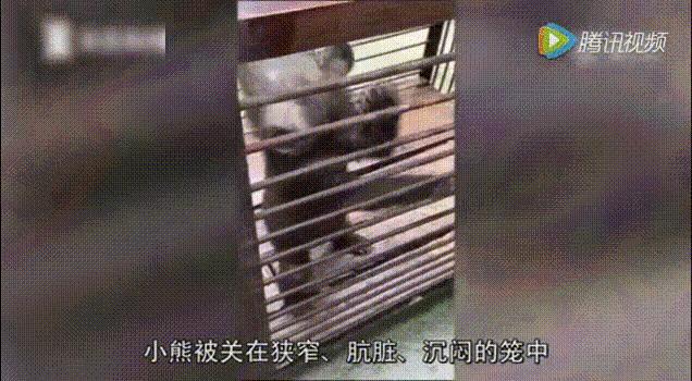 被囚34年取精，被迫亲手杀死爱子，最后只能挣扎着死去……