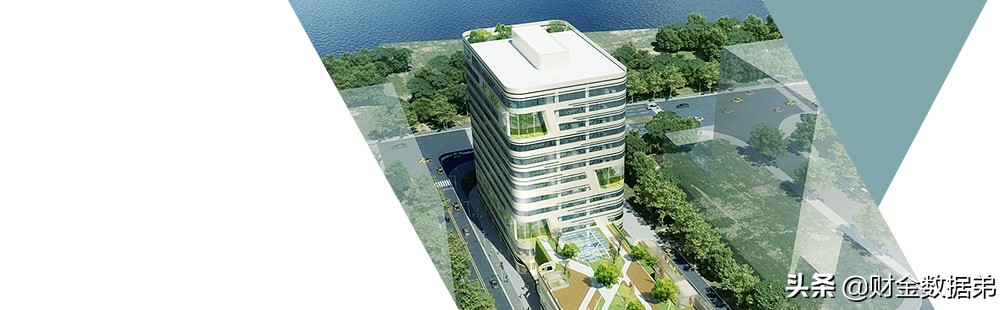 金龙鱼益海嘉里集团,金龙鱼成箱大米