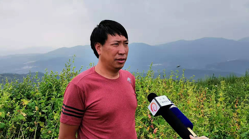 昆明桃园家俱城：*党**建引领、消费扶贫成效显著