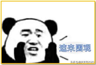 word证件表格圆角,word表格圆角边框怎么设置