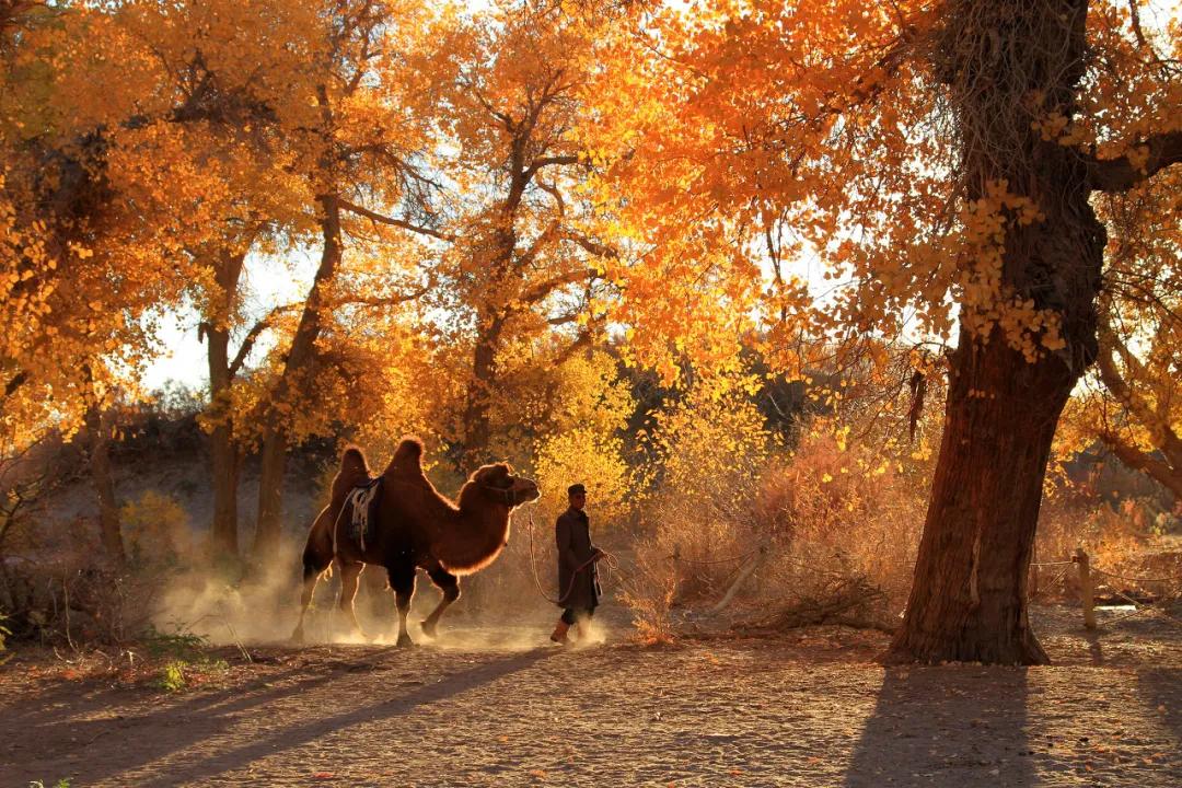 一周旅游推荐8月国内旅行,值得推荐的一月小众旅游