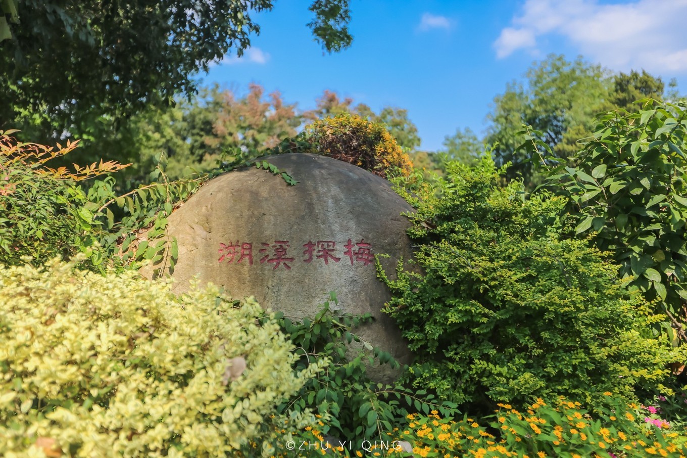 无锡梅园不只能赏梅,初秋近万亩百合花海盛放,小姐姐直呼太美了