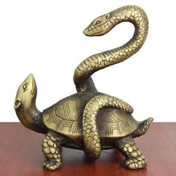 古代*楼青**的男女工作人员为什么被叫做“龟公”、“鸨母”?