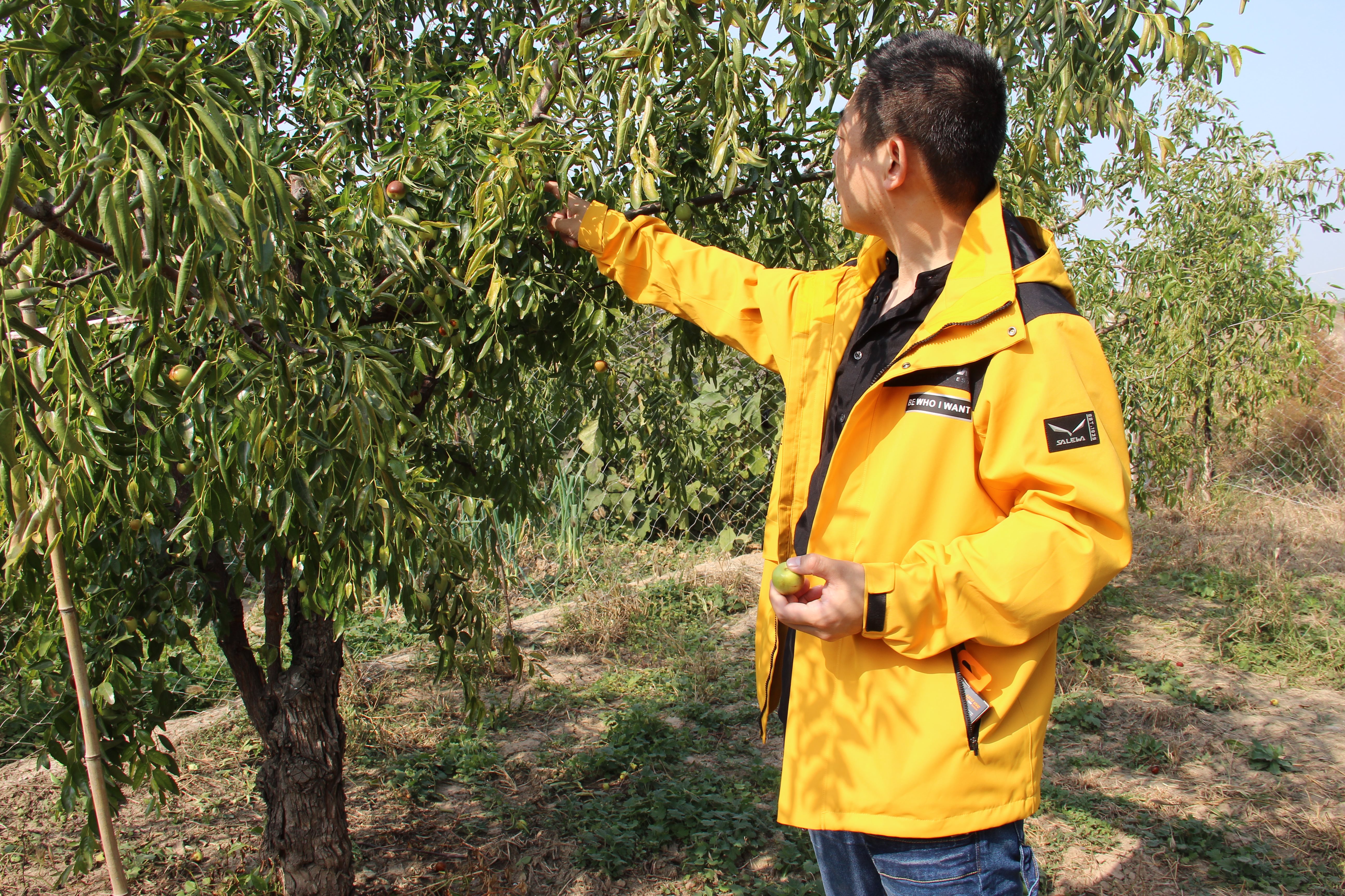 沙乐华明星同款冲锋衣,沙乐华和哥伦比亚冲锋衣哪个好