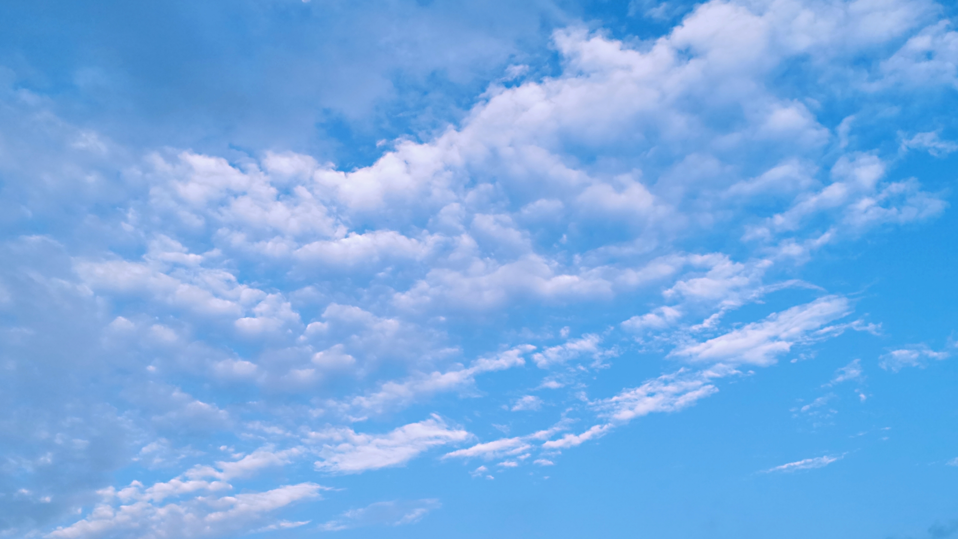 成都的各种风景,成都市内景色好的地方