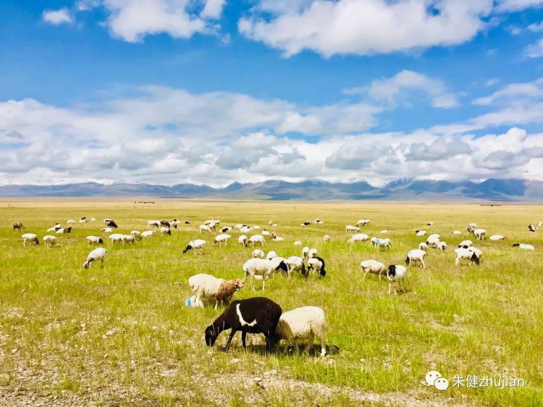 非常有魅力的前辈,学习前辈