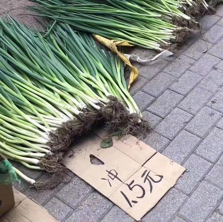 985管培生,985211的应届生去国企还是私企