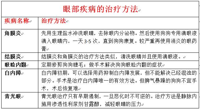 辟谣狗狗鼻子干就是生病,狗狗眼睛流泪可能是眼部疾病