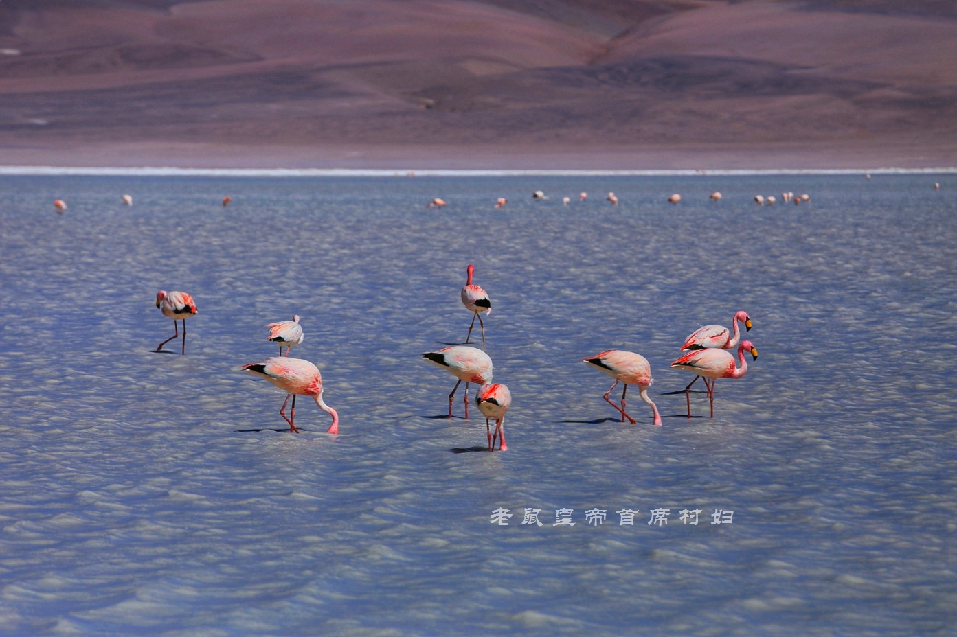 玻利维亚天空之镜无滤镜,玻利维亚看天空之镜