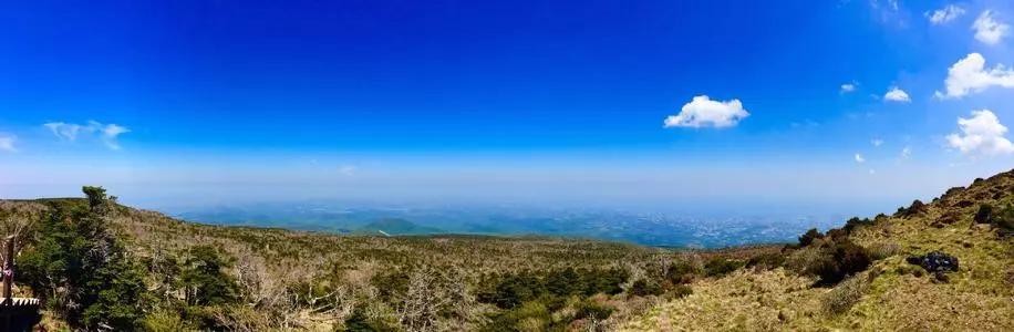 韩国超强打卡美食推荐,韩国必打卡的网红